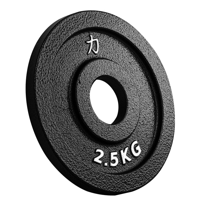 Cast iron gym plates price deals