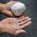 Spider Chalk Refillable Chalk Ball - Strength Shop