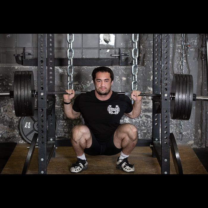 Rogue europe barbell cheap