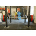 Safety Belt for Riot Cage and Rigs - 75MM - Strength Shop