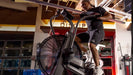 AssaultBike Elite - Strength Shop
