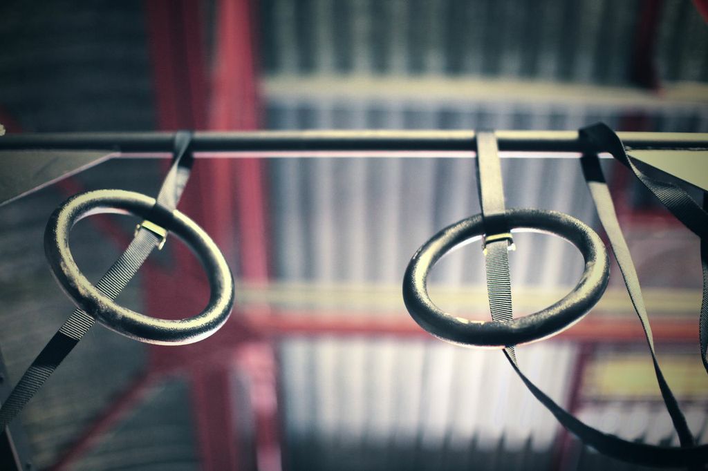 Adjustable Gymnastic Rings - 1 Pair - Strength Shop